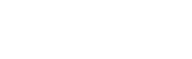 Bison баннер Promo Logo